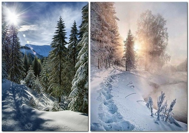 Идеи для зимней фотосессии в лесу